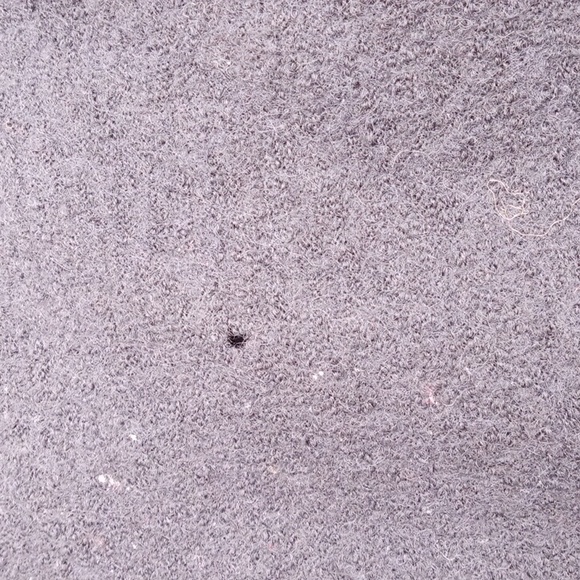 Kenar Wool Black Zip Up Cardigan with White Leaf Embroidery Womens Sweater XL - Picture 5 of 5